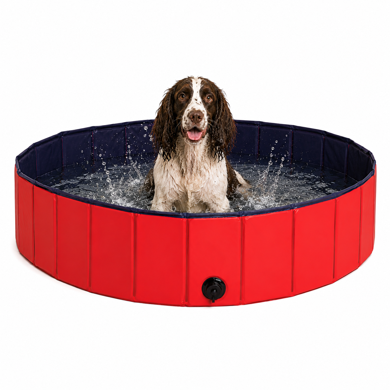 lionto Piscine pour chien pliable en PVC, bassin pour chiens, baignoir pour chien