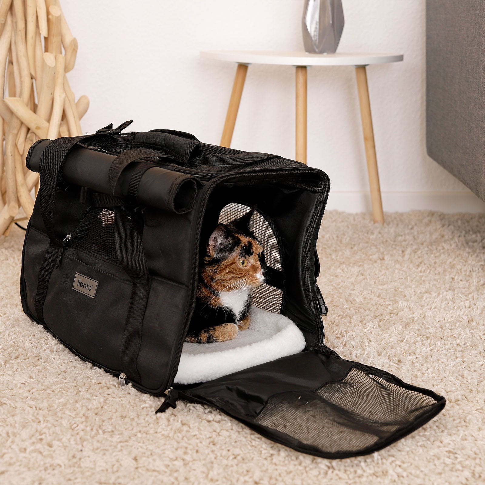 lionto Sac chat pliable Caisse chat Sac de voyage Caisse transport div. couleurs